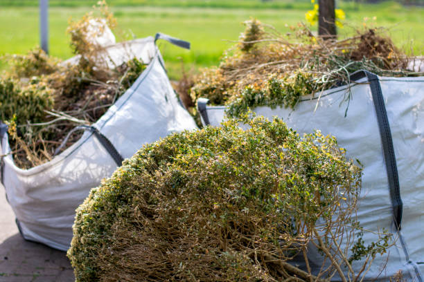 Best Appliance Removal Near Me  in Morrison, IL