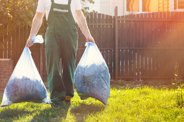 Best Affordable Junk Removal Services  in Morrison, IL