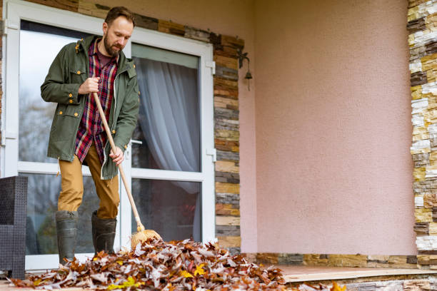 Best Estate Cleanout Services  in Morrison, IL